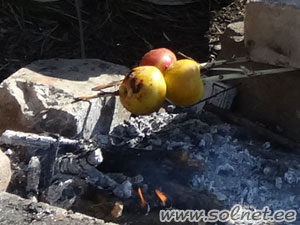 Семейный поход за пролесками